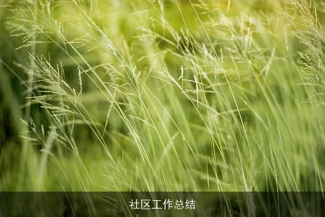 社区工作总结