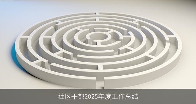 社区干部2025年度工作总结