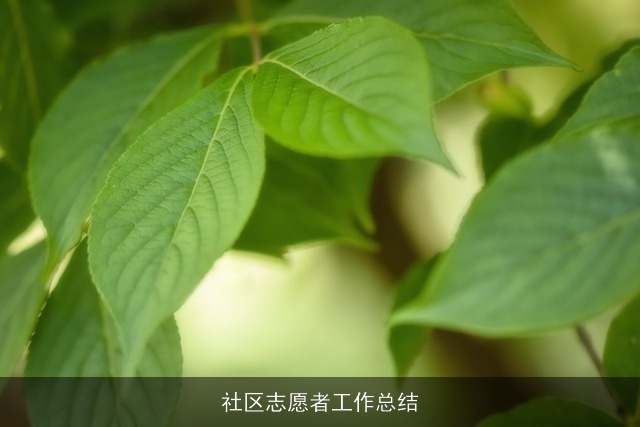 社区志愿者工作总结