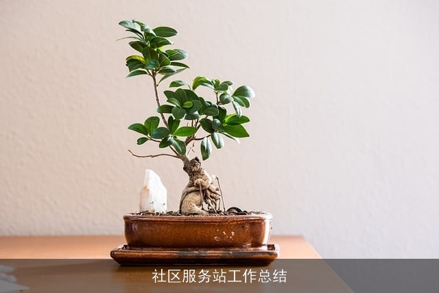 社区服务站工作总结