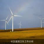 社区爱国卫生工作总结