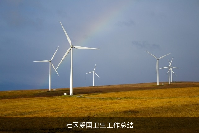 社区爱国卫生工作总结