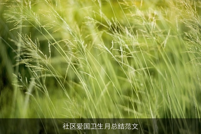 社区爱国卫生月总结范文