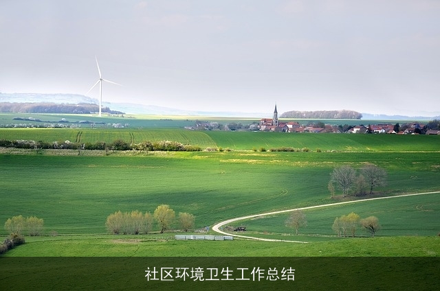 社区环境卫生工作总结