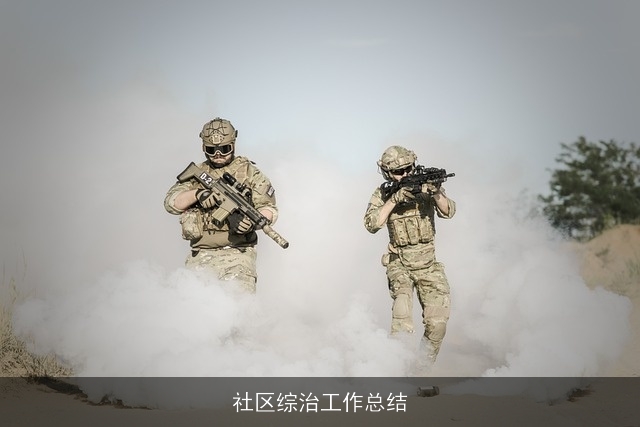 社区综治工作总结