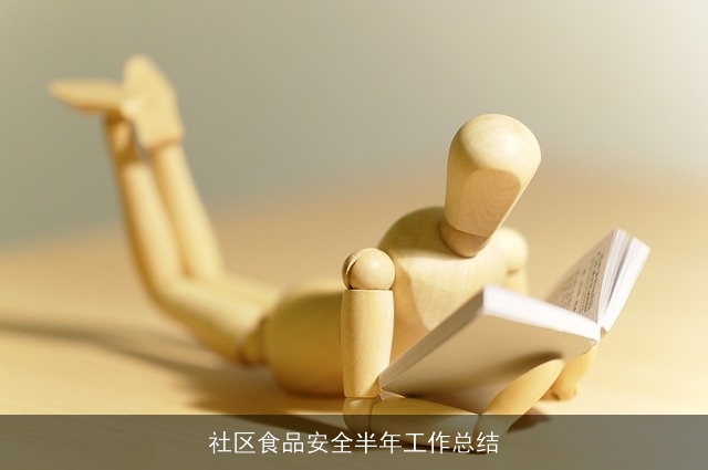 社区食品安全半年工作总结