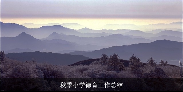 秋季小学德育工作总结