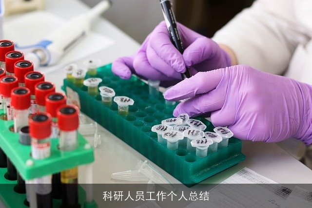 科研人员工作个人总结