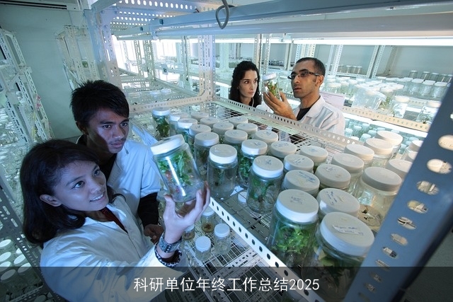 科研单位年终工作总结2025