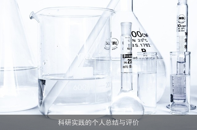 科研实践的个人总结与评价