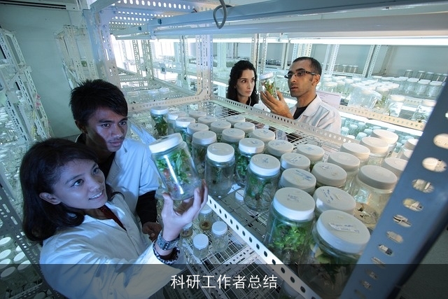 科研工作者总结