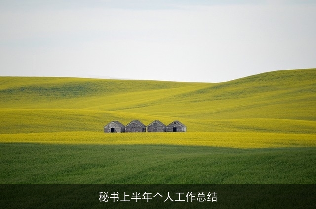 秘书上半年个人工作总结