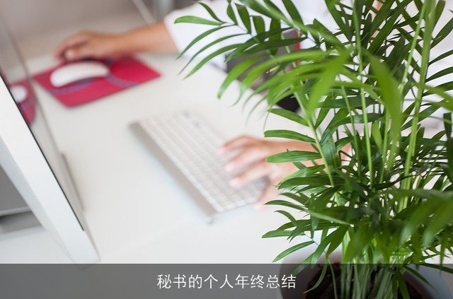 秘书的个人年终总结