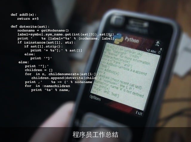 程序员工作总结