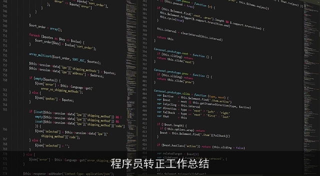 程序员转正工作总结