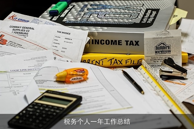 税务个人一年工作总结