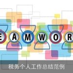 税务个人工作总结范例