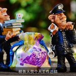 税务人员个人工作总结