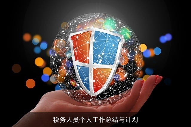 税务人员个人工作总结与计划