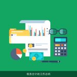 税务会计的工作总结