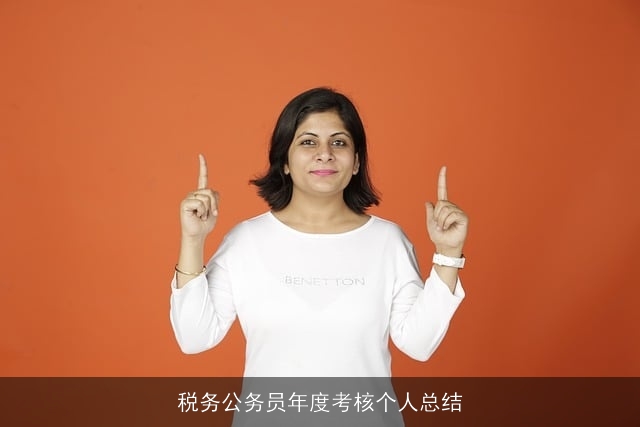 税务公务员年度考核个人总结