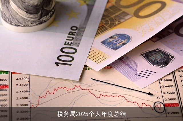 税务局2025个人年度总结