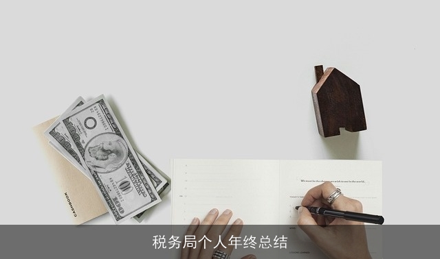 税务局个人年终总结