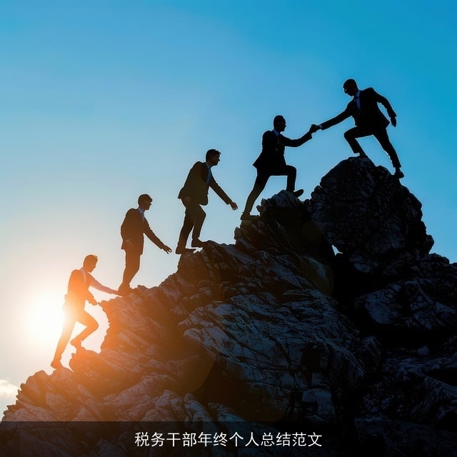 税务干部年终个人总结范文