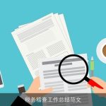 税务稽查工作总结范文