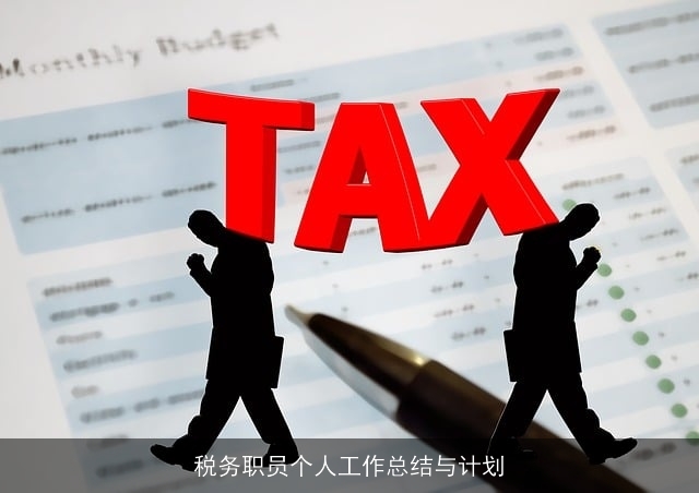 税务职员个人工作总结与计划