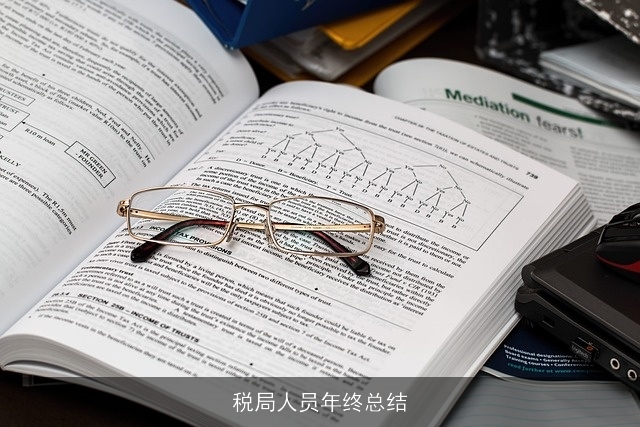 税局人员年终总结