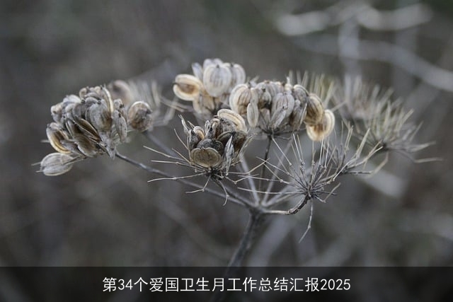 第34个爱国卫生月工作总结汇报2025