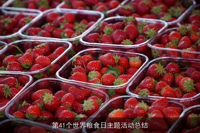 第41个世界粮食日主题活动总结