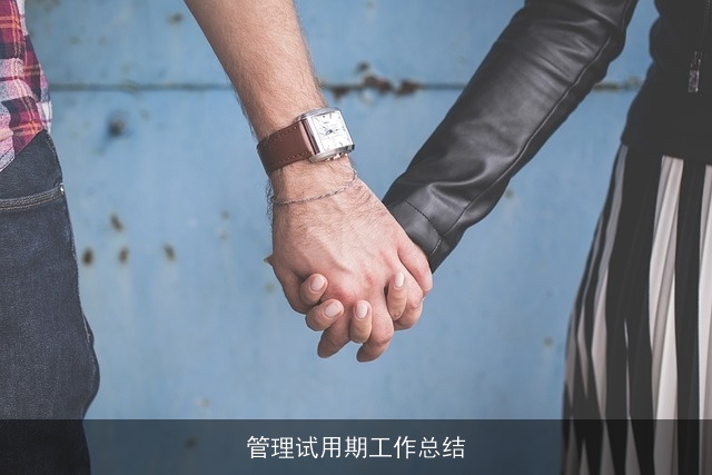 管理试用期工作总结