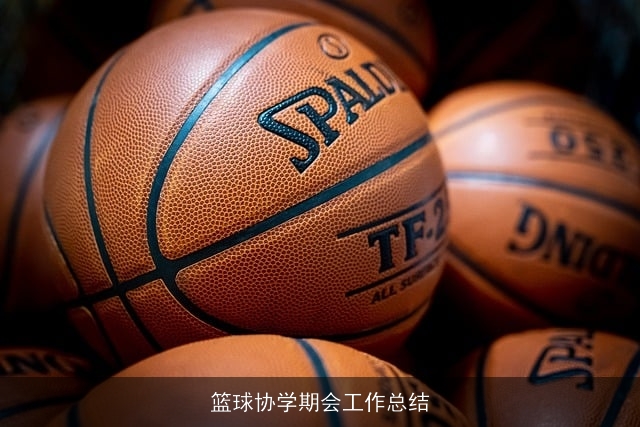 篮球协学期会工作总结