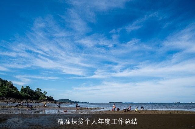 精准扶贫个人年度工作总结