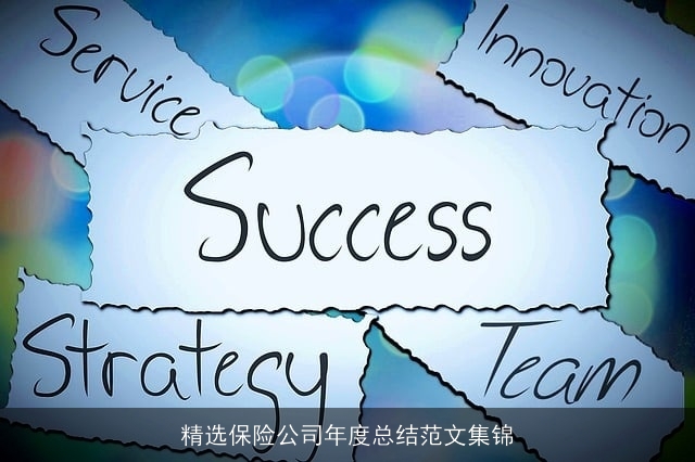 精选保险公司年度总结范文集锦