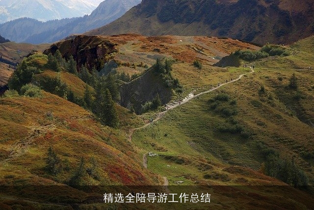 精选全陪导游工作总结