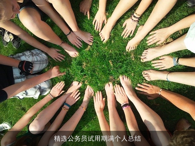 精选公务员试用期满个人总结