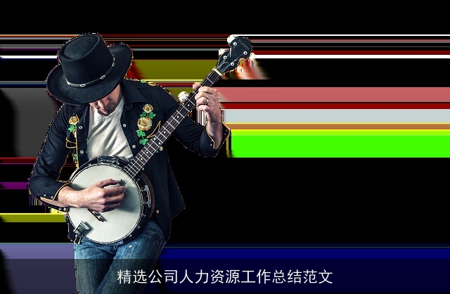 精选公司人力资源工作总结范文