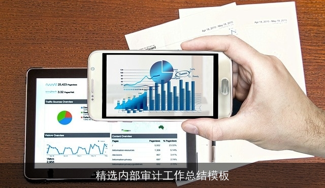 精选内部审计工作总结模板