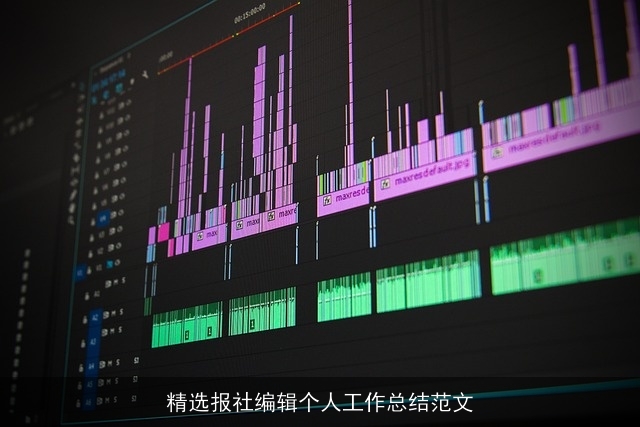 精选报社编辑个人工作总结范文