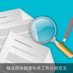 精选税务稽查年终工作总结范文