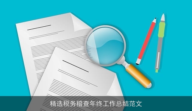 精选税务稽查年终工作总结范文