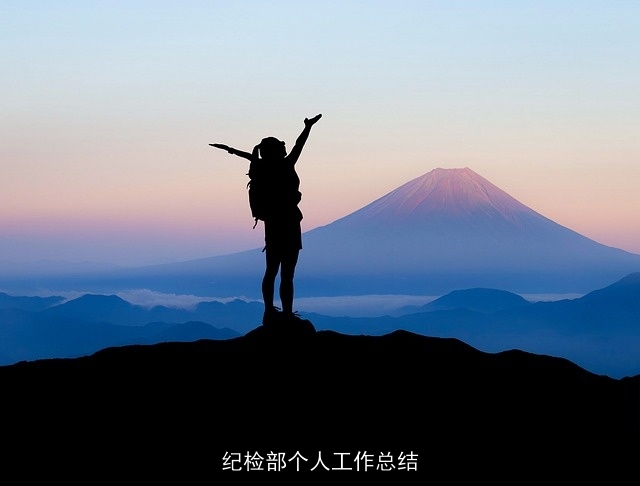 纪检部个人工作总结