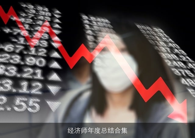 经济师年度总结合集