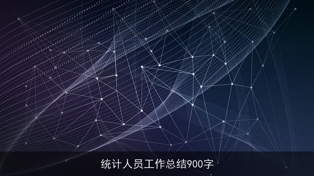 统计人员工作总结900字