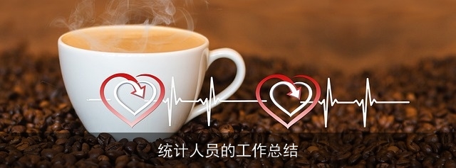 统计人员的工作总结