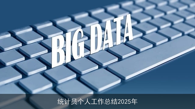 统计员个人工作总结2025年
