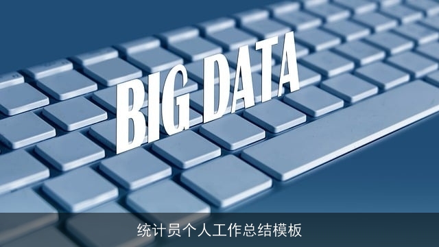 统计员个人工作总结模板